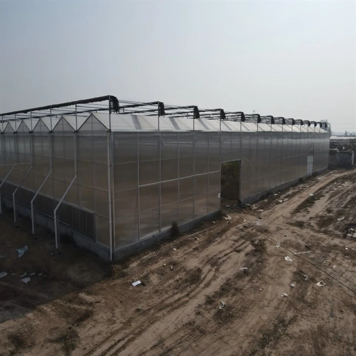 Cooling System For PC Sheet Greenhouse factory