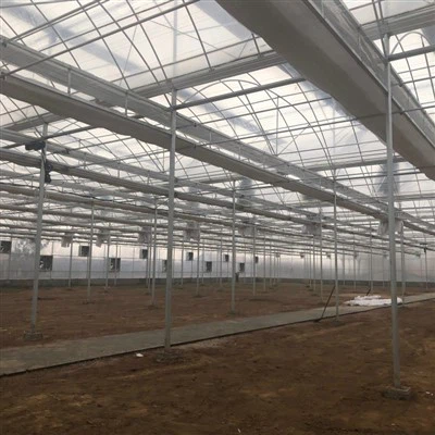 Polytunnel à ossature d'acier